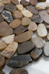 12X12 Flat Bora Wilderness | Quality Carpet Inc.