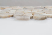 12X12 Flat Fiji Cream | Quality Carpet Inc.