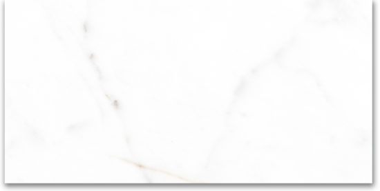 12X24 Polished Amore Grey | Quality Carpet Inc.