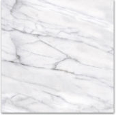 18X18F Carrara | Quality Carpet Inc.