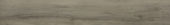 2501-Ash Hickory  | Quality Carpet Inc.
