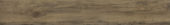 2503-Burnished Hickory | Quality Carpet Inc.