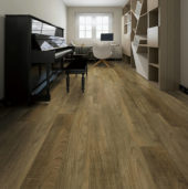 2902-American Cherry | Quality Carpet Inc.