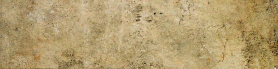 3X12 Beige Bullnose | Quality Carpet Inc.