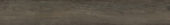 4402-Royal Ash | Quality Carpet Inc.