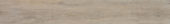 4408-Light Ash | Quality Carpet Inc.