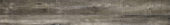 4422-Barnwood Ecru | Quality Carpet Inc.