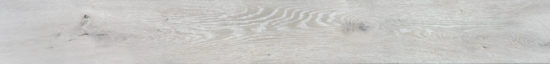 4562-Seashell | Quality Carpet Inc.