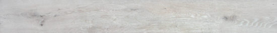 4562-Seashell | Quality Carpet Inc.