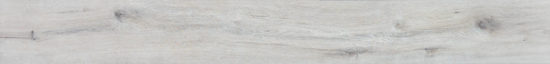 4562-Seashell | Quality Carpet Inc.