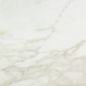 Amalfi Calacatta Honed 24X24 | Quality Carpet Inc.