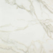 Amalfi Calacatta Honed 32X32 | Quality Carpet Inc.
