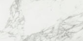 Arabescato Verona Honed 24X48 | Quality Carpet Inc.
