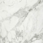 Arabescato Verona Honed 32X32 | Quality Carpet Inc.