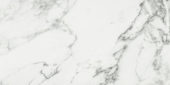 Arabescato Verona Polished 24X48 | Quality Carpet Inc.