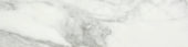 Arabescato Verona Polished 3X12 Bullnose | Quality Carpet Inc.