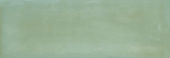 Aruba Moss Gloss 2x6 | Quality Carpet Inc.
