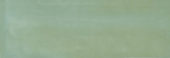 Aruba Moss Gloss 2x6 | Quality Carpet Inc.