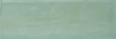 Aruba Moss Gloss 2x6 | Quality Carpet Inc.
