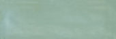 Aruba Moss Gloss 2x6 | Quality Carpet Inc.