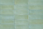 Aruba Moss Gloss 2x6 | Quality Carpet Inc.