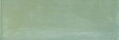 Aruba Moss Gloss 2x6 | Quality Carpet Inc.