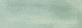 Aruba Moss Matt 2x6 | Quality Carpet Inc.