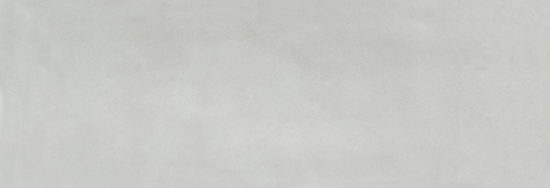 Aruba Silver Gloss 2x6 | Quality Carpet Inc.