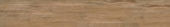 Autumn Forest 5.5X33F | Quality Carpet Inc.