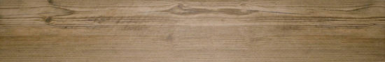Autumn Forest 5.5X33F | Quality Carpet Inc.