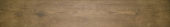 Autumn Forest 5.5X33F | Quality Carpet Inc.