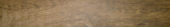 Autumn Forest 5.5X33F | Quality Carpet Inc.