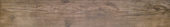 Autumn Forest 5.5X33F | Quality Carpet Inc.