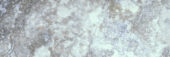 Azzurro 4X12 | Quality Carpet Inc.