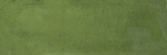 Barcelona 2x6" Olive | Quality Carpet Inc.