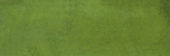 Barcelona 2x6" Olive | Quality Carpet Inc.