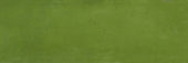 Barcelona 2x6" Olive | Quality Carpet Inc.