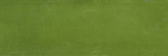 Barcelona 2x6" Olive | Quality Carpet Inc.