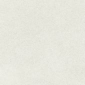 Concord 13X13F Dawn Matte | Quality Carpet Inc.