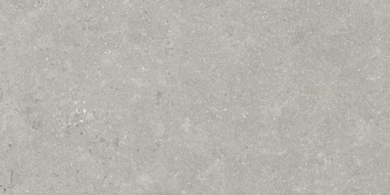 Denver 12X24F Graphite Matte | Quality Carpet Inc.