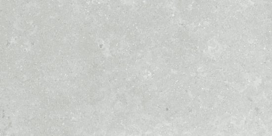 Denver 12X24F Platinum Matte | Quality Carpet Inc.
