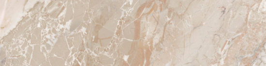 Dynasty Almond 3X12 Bullnose | Quality Carpet Inc.
