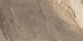 Dynasty Taupe 12X24 | Quality Carpet Inc.