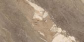 Dynasty Taupe 12X24 | Quality Carpet Inc.
