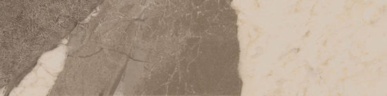 Dynasty Taupe 3X12 Bullnose | Quality Carpet Inc.
