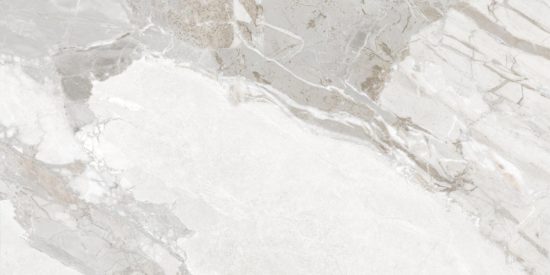 Dynasty White Polished/Matte 24X48 | Quality Carpet Inc.