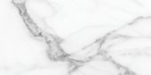 Florence 12X24F Statuario Matte | Quality Carpet Inc.