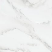 Florence 13X13F Bianco Matte | Quality Carpet Inc.