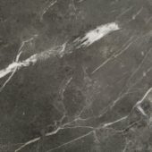 Florence 20X20F Carbon Matte | Quality Carpet Inc.