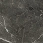 Florence 20X20F Carbon Matte | Quality Carpet Inc.